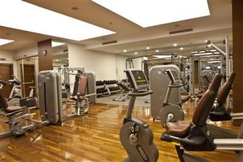 Holiday Inn Istanbul Sisli 5*