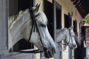 Hotel Berke Ranch and Nature 3*