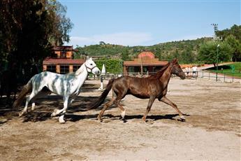 Hotel Berke Ranch and Nature