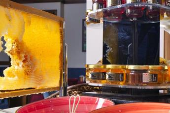 Hotel Black Tulip 4*