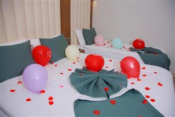 Hotel Black Tulip
