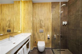 Ibis Istanbul Airport 4*