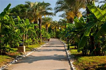 IC Hotels Green Palace & Villas 5*