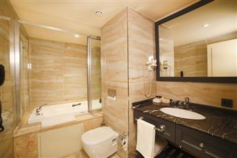 Icon Istanbul Hotel 4*