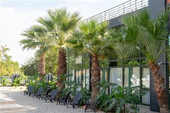 Inno Concept Business Antalya 3*