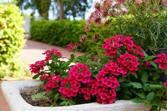 Irem Garden Hotel