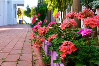 Irem Garden Hotel