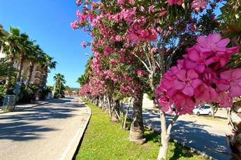 Istanbul Beach Hotel 4*