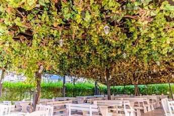 Izola Paradise Hotel 4*