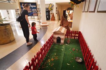 Jolie Ville Golf Resort 5* Jolie Ville Golf Resort 5*