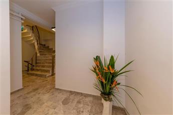 Joy Suite Hotel 3* Joy Suite Hotel 3*