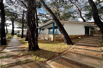 Joya Del Mar Hotel 4*