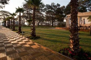 Juju Premier Palace