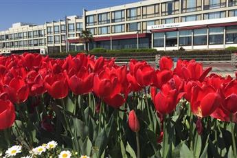 Kalyon Hotel