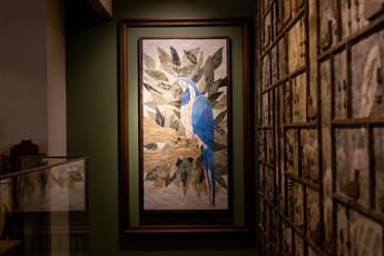 Kate Hotel Special Class 4*