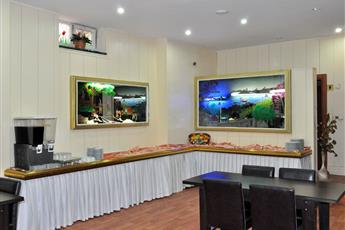 Kaya Madrid Hotel 3*