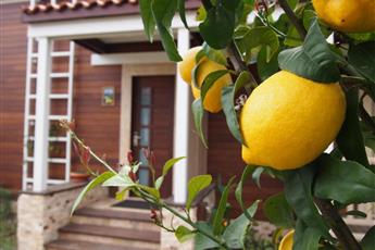 Kimera Lounge Boutique Hotel & Spa 5*