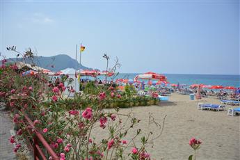 Kleopatra Dreams Beach 4*