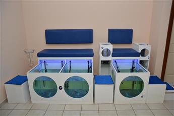 Kleopatra Dreams Beach 4*