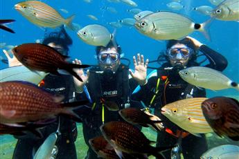 Liberty Lykia Family 5*