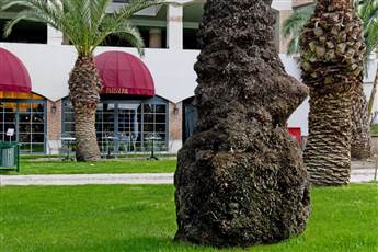 Limak Limra Hotel & Resort 5* Limak Limra Hotel & Resort 5*