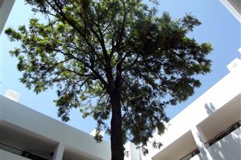 Liv Hotel by Bellazure 4*