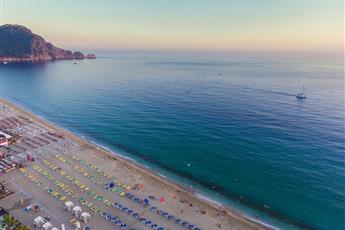 Lonicera City Hotel 3*