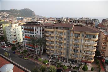 Lonicera City Hotel
