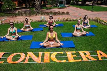 Lonicera World Hotel