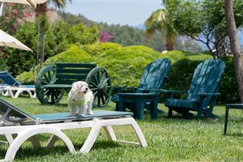 Marti La Perla 4* Adults Only 16+