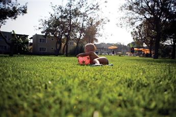 Marvida Family Eco 5*