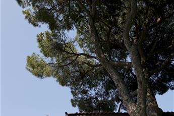 Maxx Royal Belek Golf Resort Special Rooms