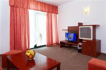 Mena Palace Hotel  4*