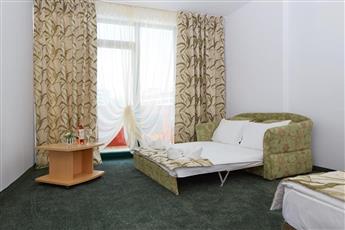 Mena Palace Hotel  4*