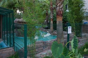 MG Club Akman Beach Hotel 4*