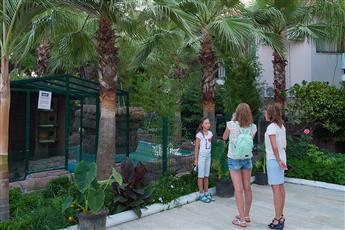 MG Club Akman Beach Hotel 4*