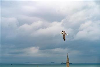 Miss Royal Hotel & SPA 3*