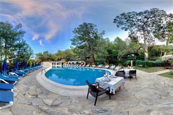 Montana Pine Resort