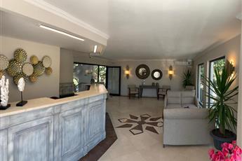 Moonshine Hotel & Suites