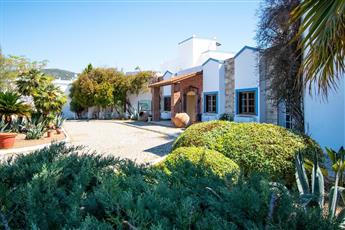 Museum Resort & Spa