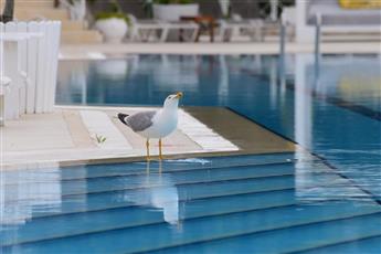 MW Phokaia Beach Resort