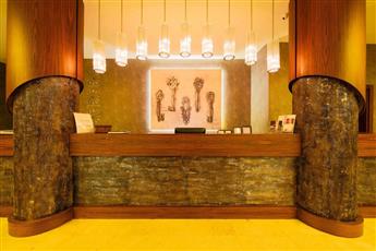 My Dream Hotel