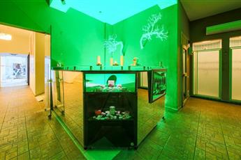 My Dream Hotel