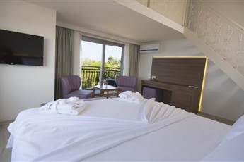 Neopol Deluxe Hotel 4*