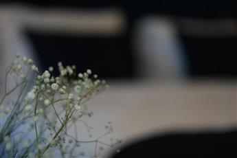 Nevi Hotel & Suites Istanbul Taksim 4*