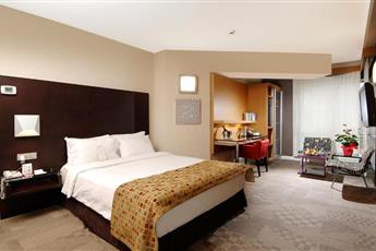 Nippon Hotel 4*