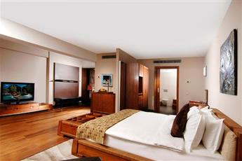 Nippon Hotel 4*