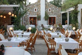 Okaliptus Hotel