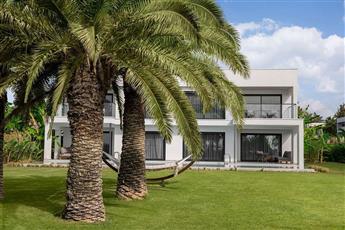 Paloma Finesse Side 5*