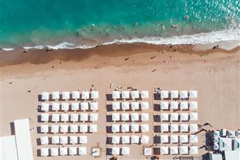 Paloma Finesse Side 5*